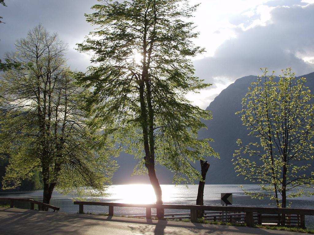 Apartments And Rooms Cerkovnik Bohinj Dış mekan fotoğraf