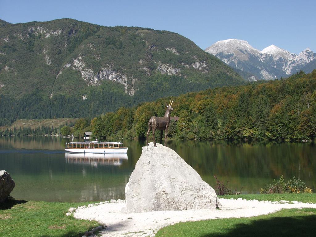 Apartments And Rooms Cerkovnik Bohinj Dış mekan fotoğraf