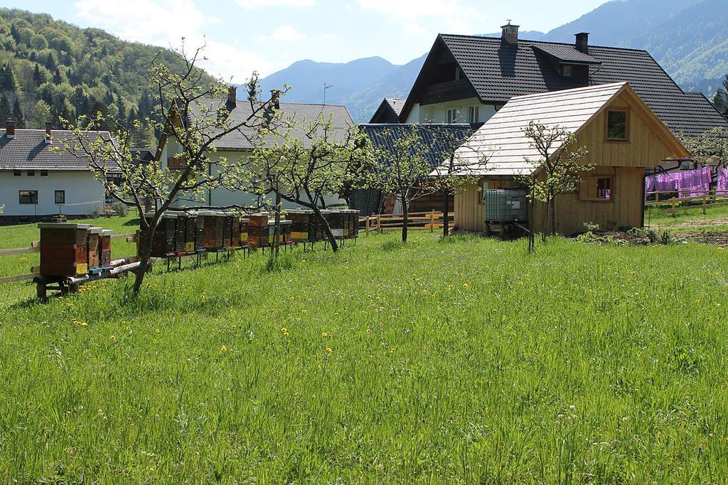 Apartments And Rooms Cerkovnik Bohinj Dış mekan fotoğraf