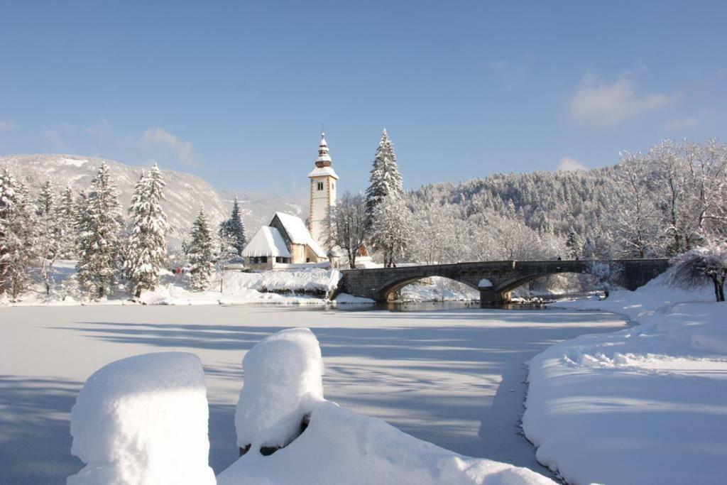 Apartments And Rooms Cerkovnik Bohinj Dış mekan fotoğraf