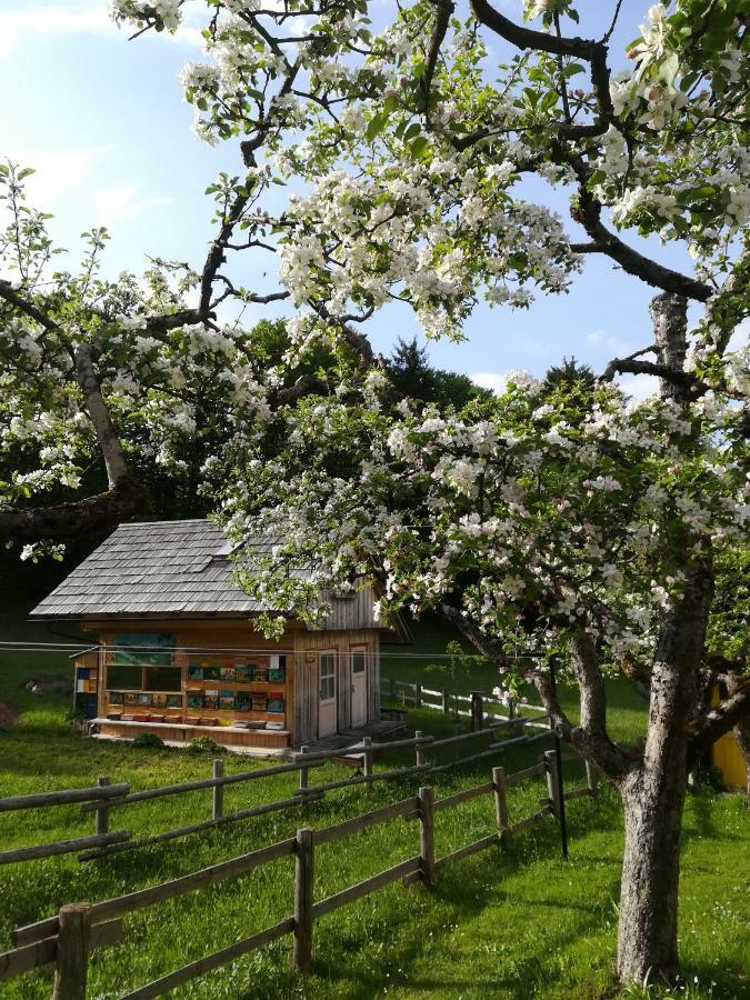 Apartments And Rooms Cerkovnik Bohinj Dış mekan fotoğraf